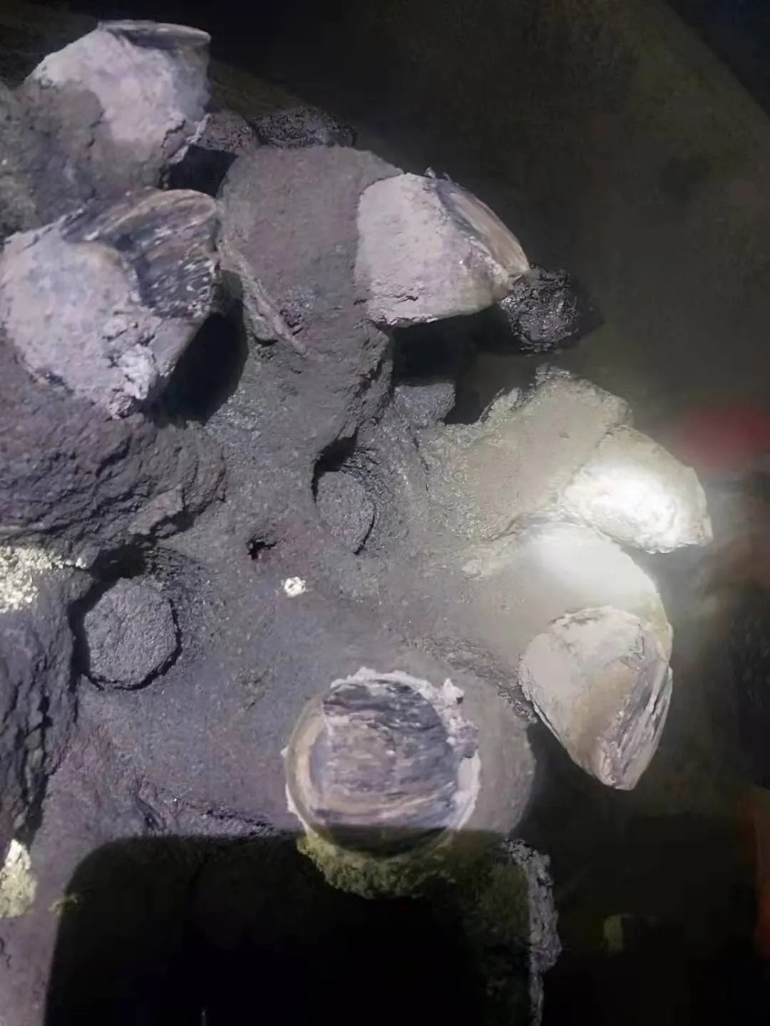 株洲信達(dá)機(jī)械科技股份有限公司,株洲煤截齒,掘進(jìn)齒銷(xiāo)售